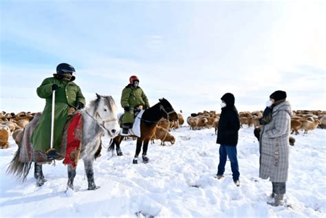 媒体:新疆暴雪 有牧民失联牛羊冻死